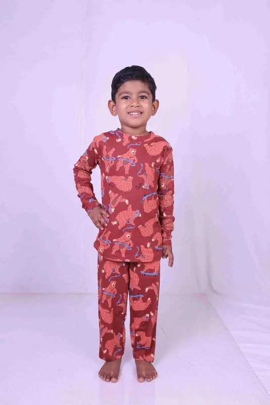 BROWN TEDDY COSET WITH FULL SLEEVE AND PANT